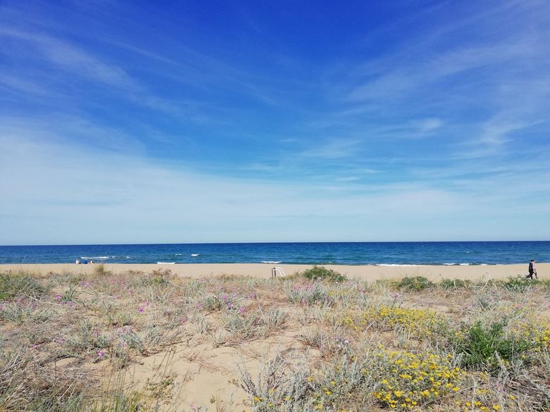 Apartamento Solmar I Bajo 2