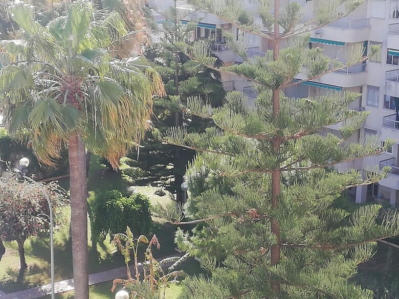 Apartamento 1.parque IV Esc 2 6� Pta 12