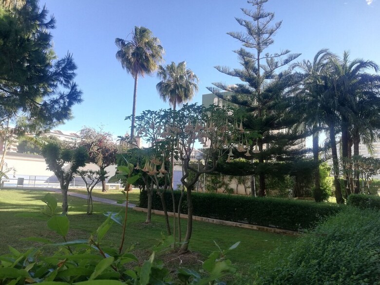 Apartamento 1.parque IV Esc 2 6� Pta 12