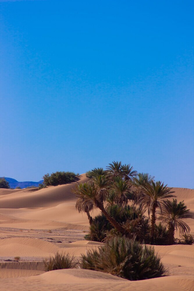 Kasbah Desert Camp
