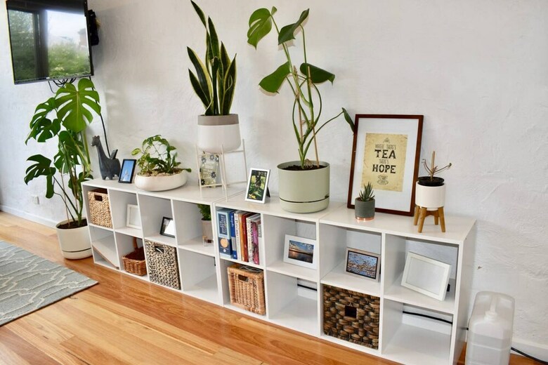 Charming Terrace House On Tree Lined Street