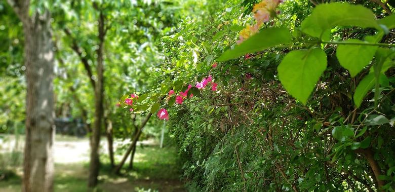 Bed & Breakfast Mountain View Bnb Arusha