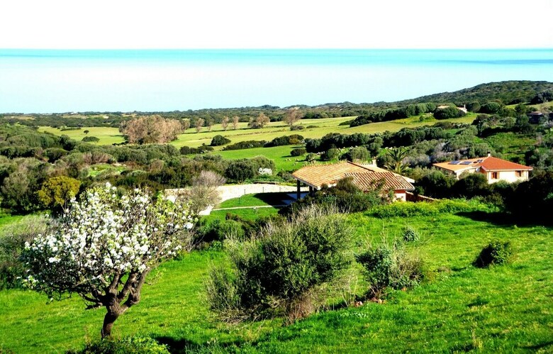 Oasi Di Scivu