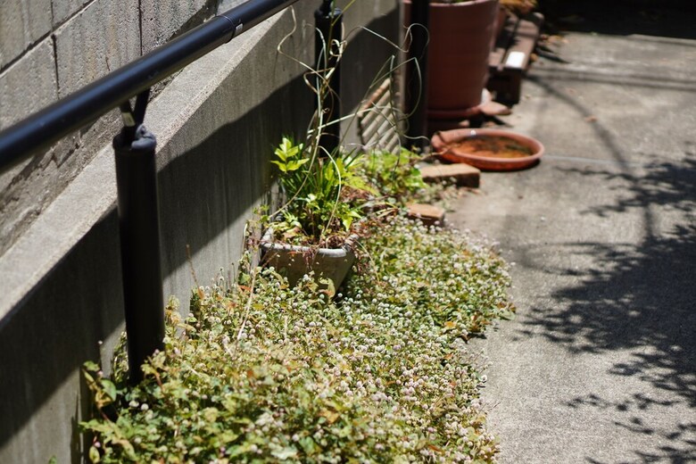 Apartamentos Shimokitazawa Akima 101