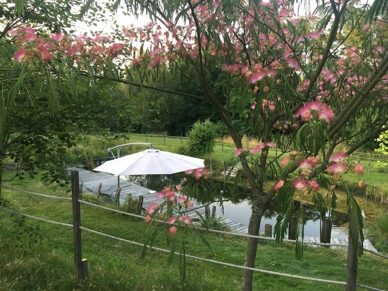 Bed & Breakfast � Saveur de L'instant