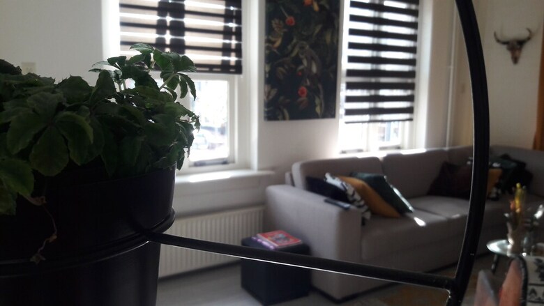 Apartamentos Zen Accommodation
