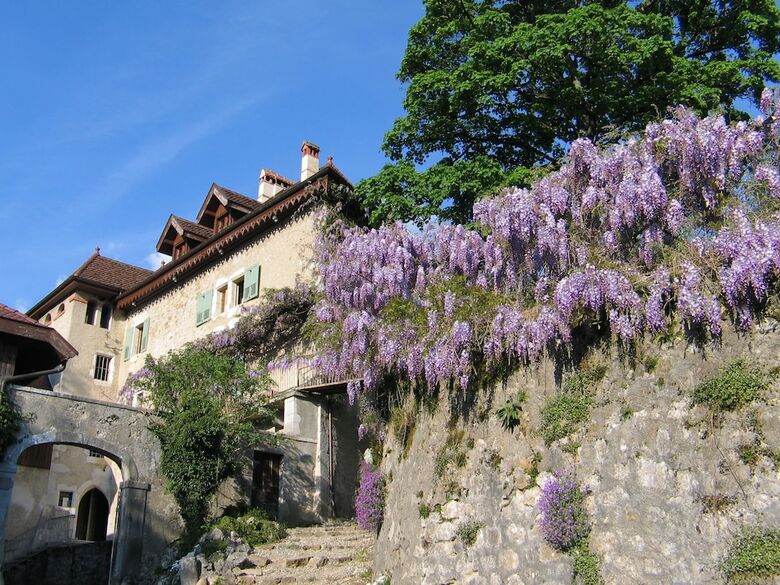 Hotel Chambres D'h�tes La Vallombreuse