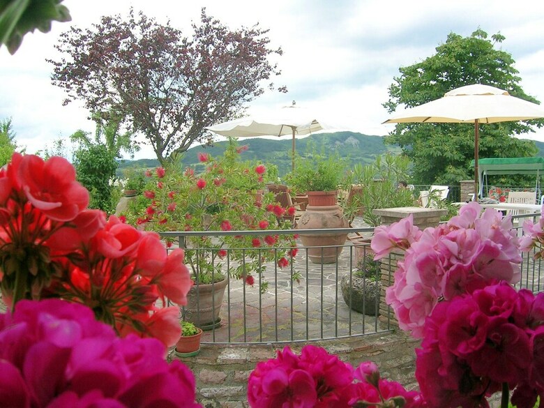 Apartment With One Bedroom In Assisi, With Pool Access