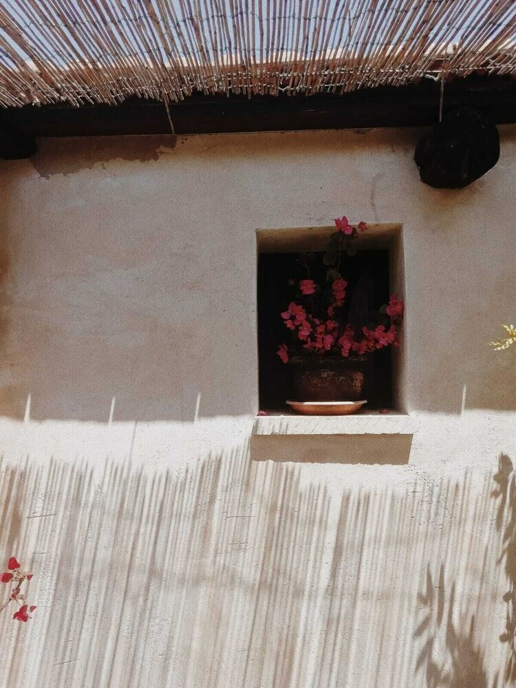 B&B La Petrusa