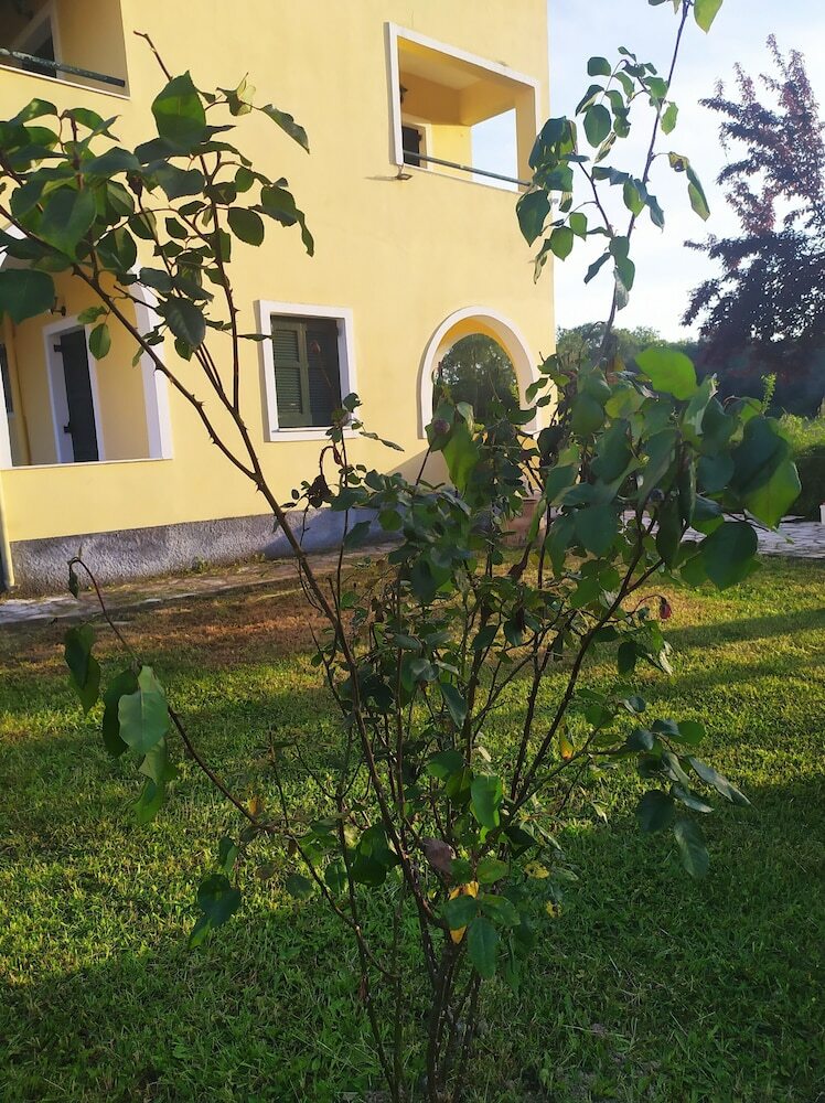 Nektar Apartments