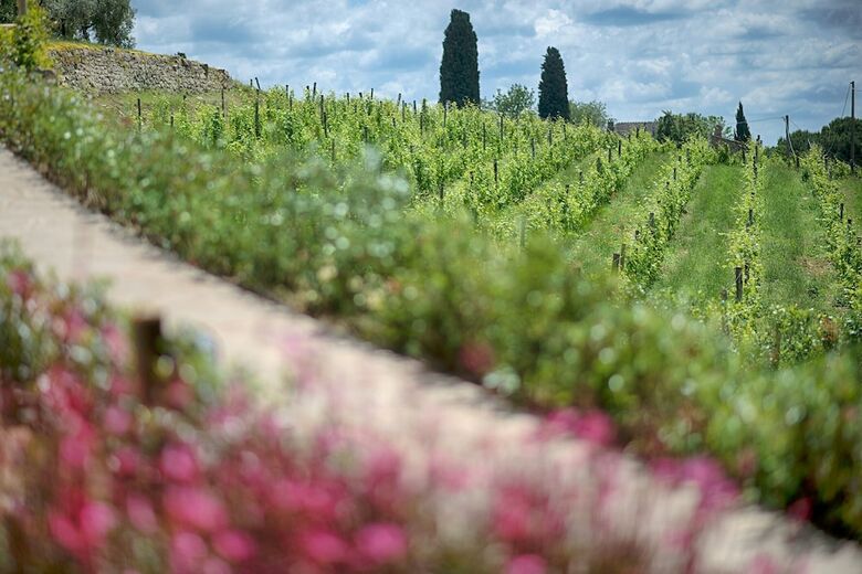 Apartamento Luxury Chianti In Olive