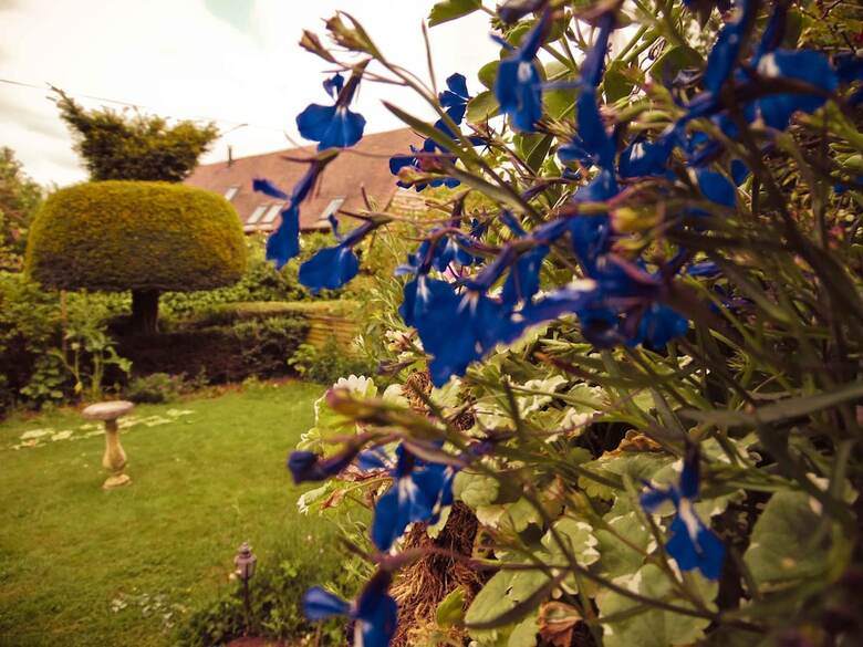 Bed & Breakfast Yew Tree House