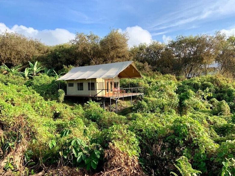 Posada Scalesia Lodge