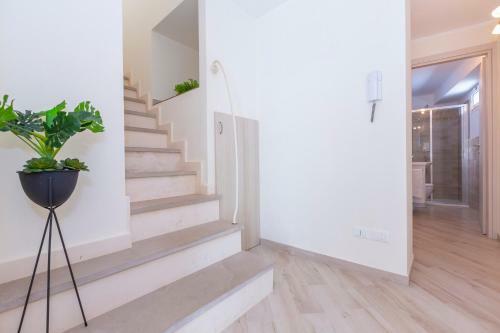 Apartamento Serena 1