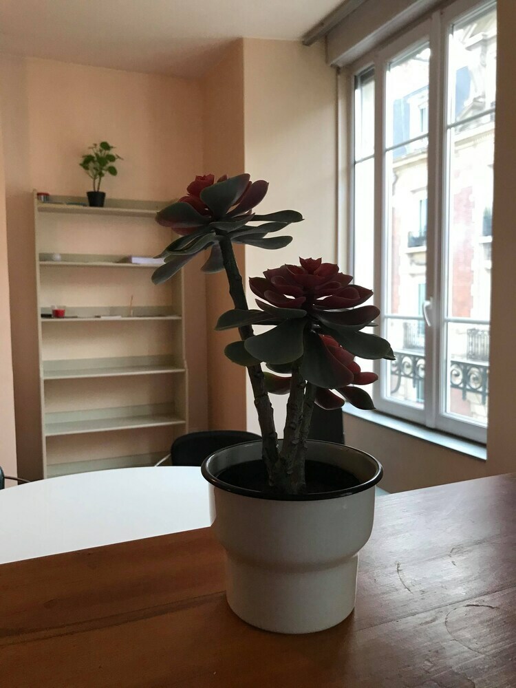 Apartamento Suite Jeanne D'arc 26 2�me