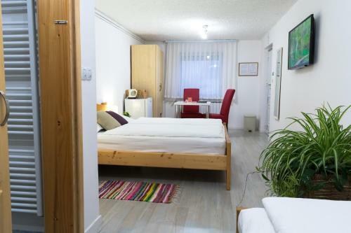 Hostal Guesthouse Franjkovic