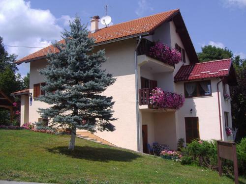 Hostal Guesthouse Hodak