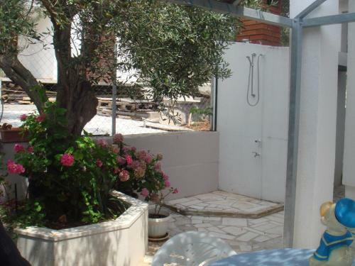 Apartments Edita