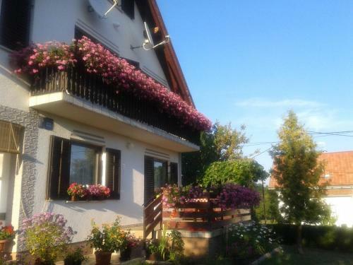 Hostal Guest House Adrijana
