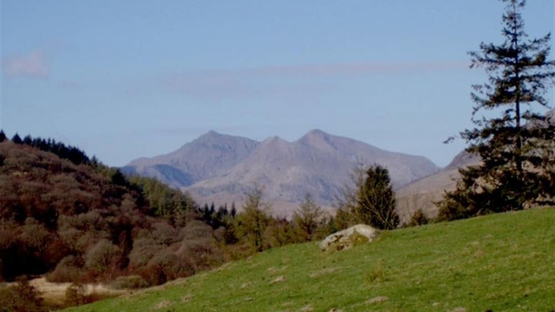 Bryn Llys Uchaf