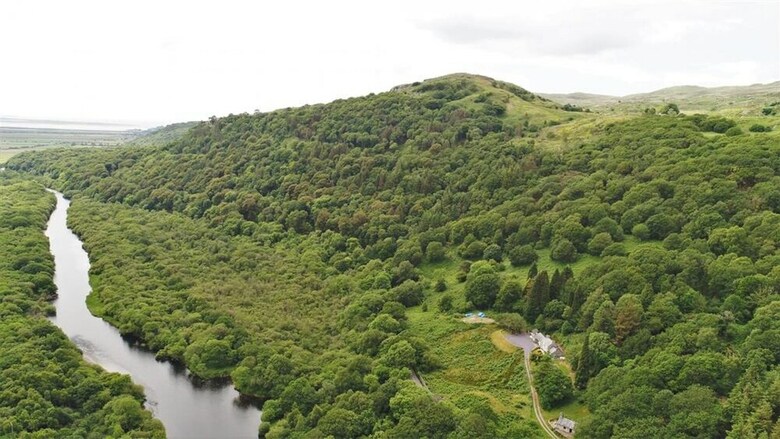 Cerrig Y Rhwydwr