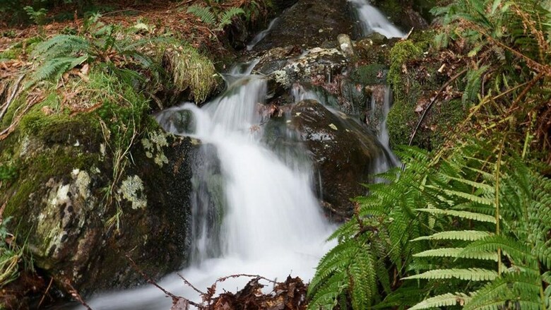 Cerrig Y Rhwydwr