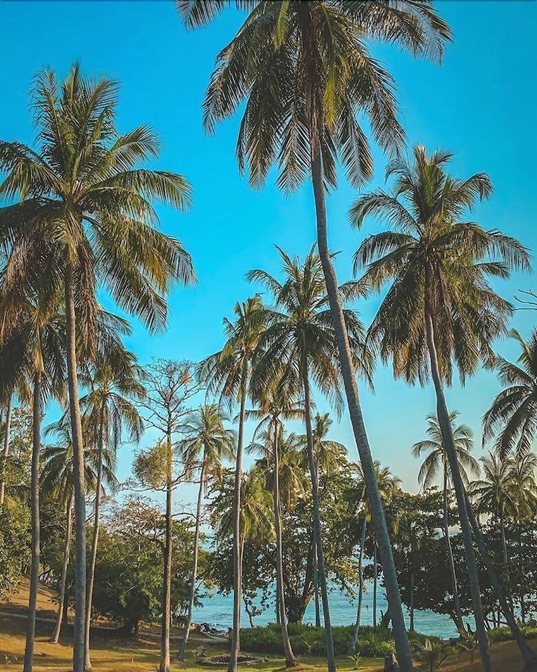 Hotel Bambooraya Villa