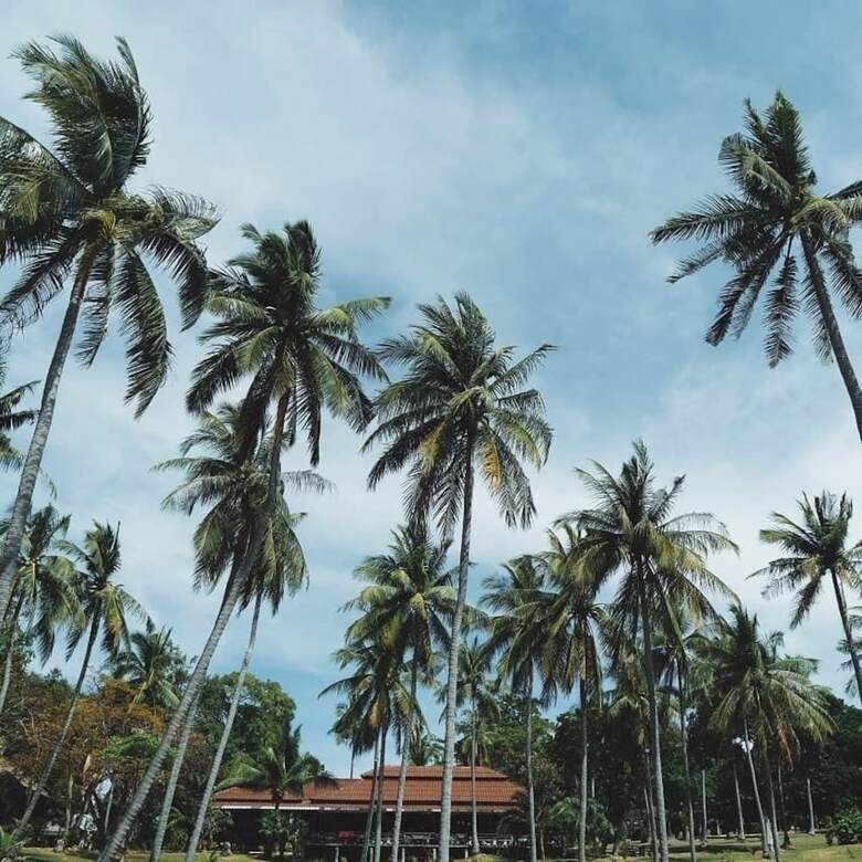 Hotel Bambooraya Villa