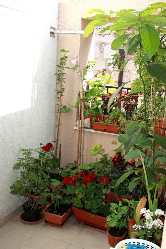 Apartment Bucevic