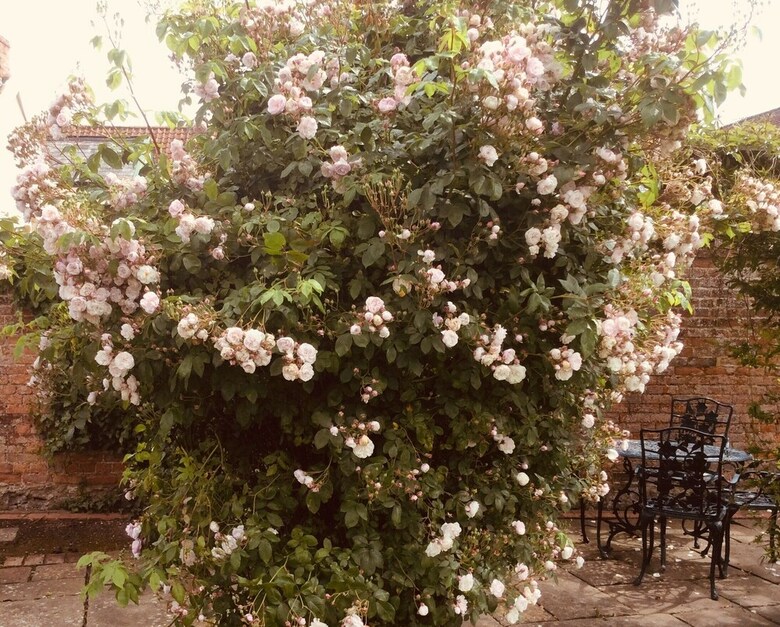Bed & Breakfast Whatley House