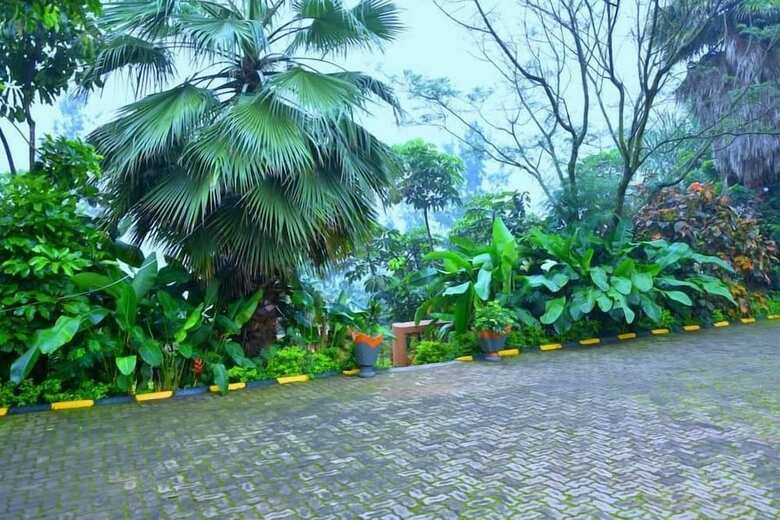 Hotel Random Park