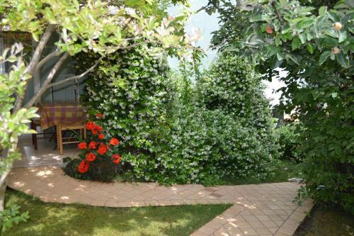 Apartments Villa Verde