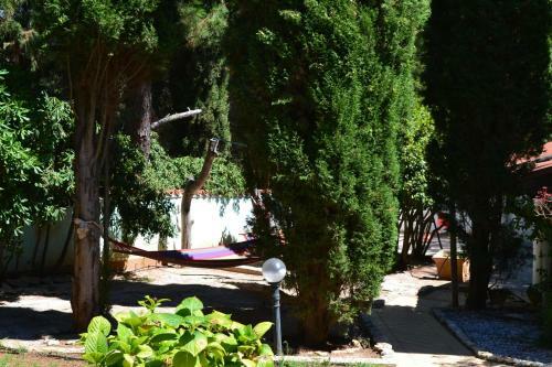 Apartments Villa Verde