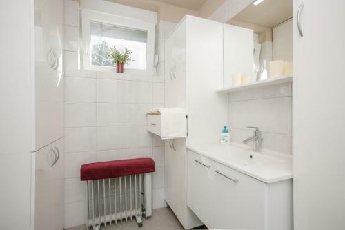 Apartments Branka