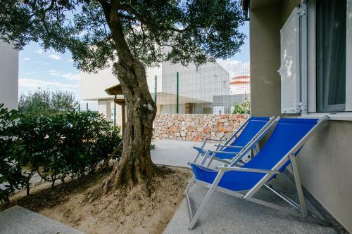 Apartments Branka