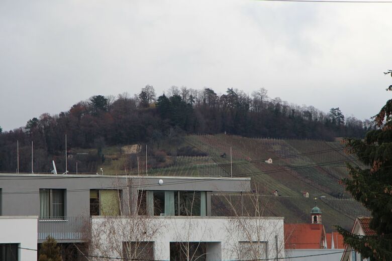 Ermis Apartments