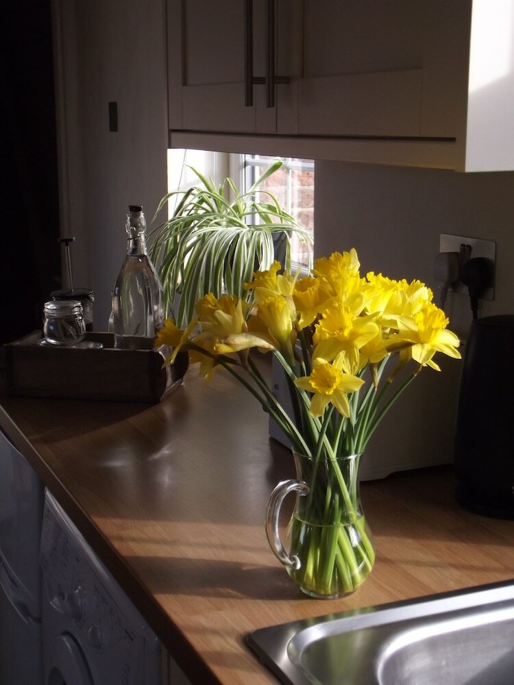 Conifer Cottage @ The Old Manor North Somercotes