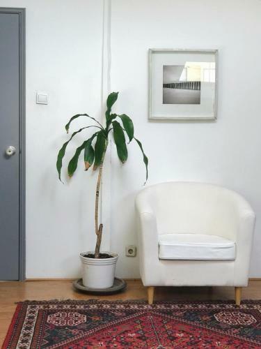 Hotel Casa Do Z�- Guest House