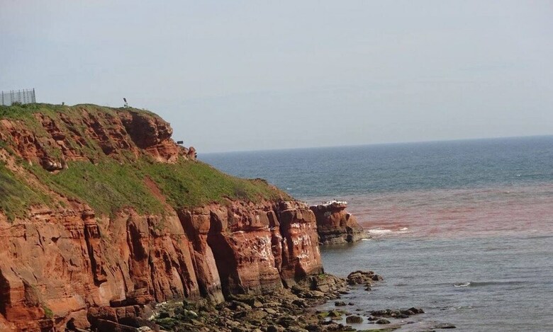 Residencia Charming 3-bed House Exmouth Town Centre, Devon