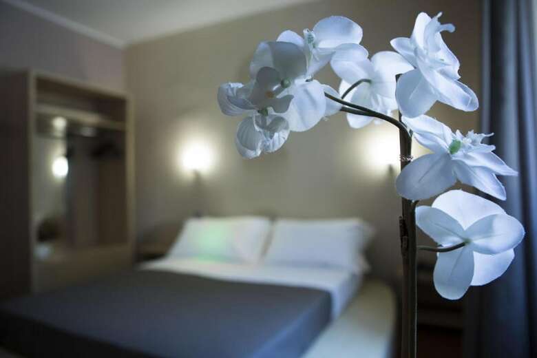 Hotel Plana