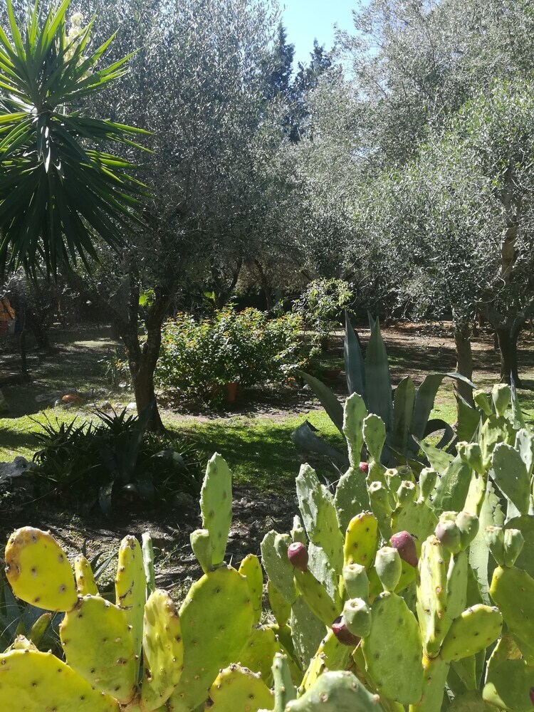 Apartamento Villa Olivia