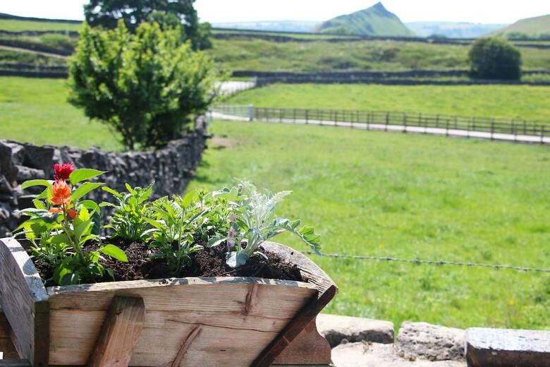 Bed & Breakfast Fernydale Farm