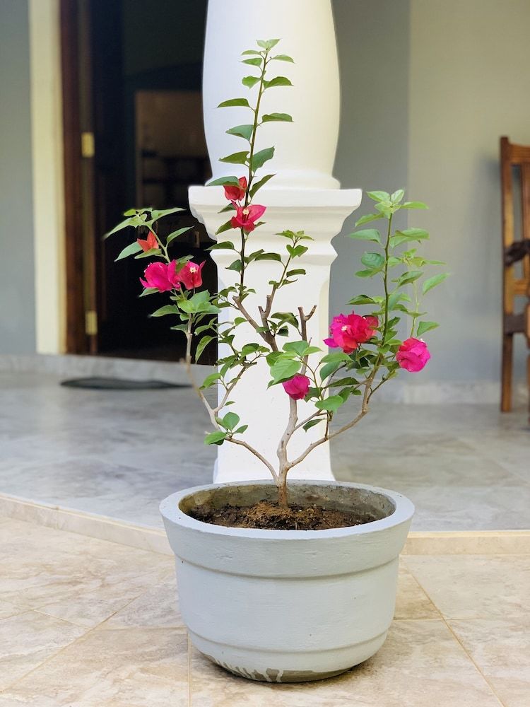 Hotel Kandy Eco Paradise