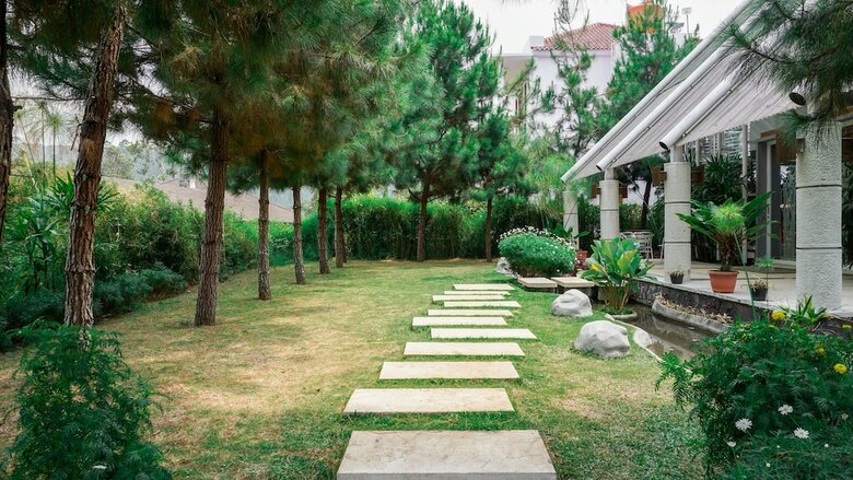 Bed & Breakfast Vila Air Natural Resort