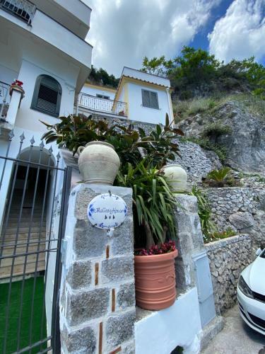Matteo's House B&B