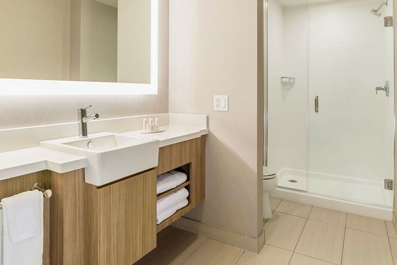 Hotel Springhill Suites By Marriott St. Paul Downtown