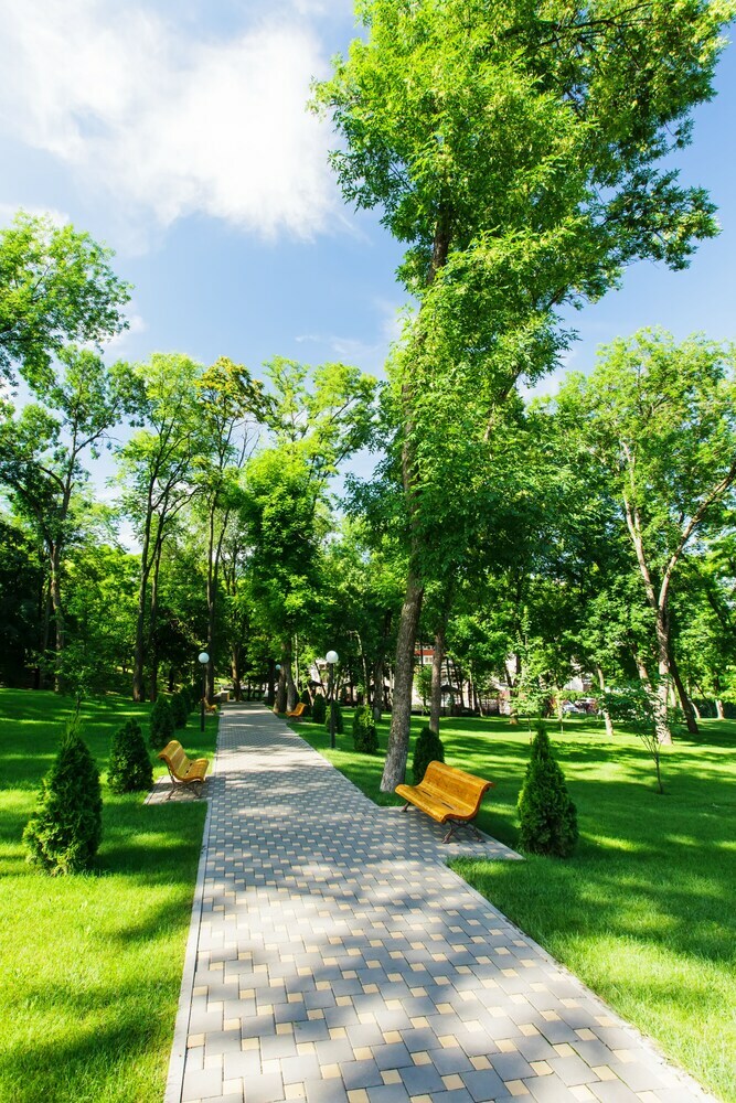 Apartamento Park Hotel Nadezhda