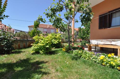 Apartments Amico