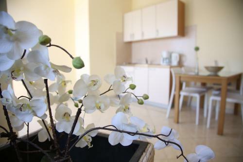 Apartamentos Villa Punta