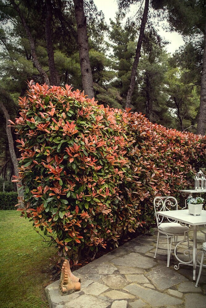 Villa Kallisti In Sani With Garden And Pool